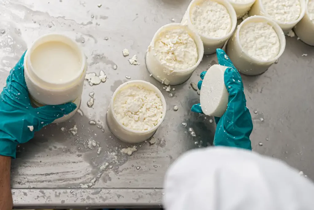 Une personne qui prépare du colostrum en poudre dans des bocaux